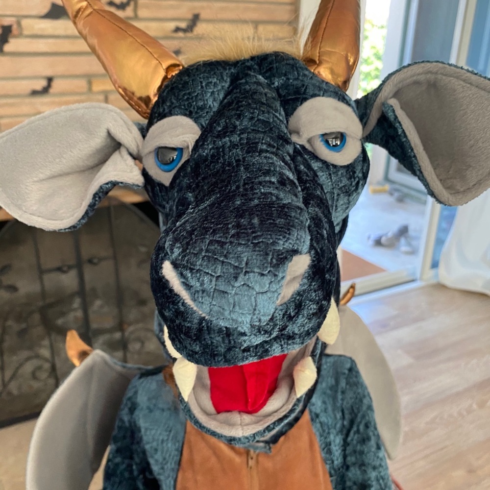 Kids deluxe dragon costume.